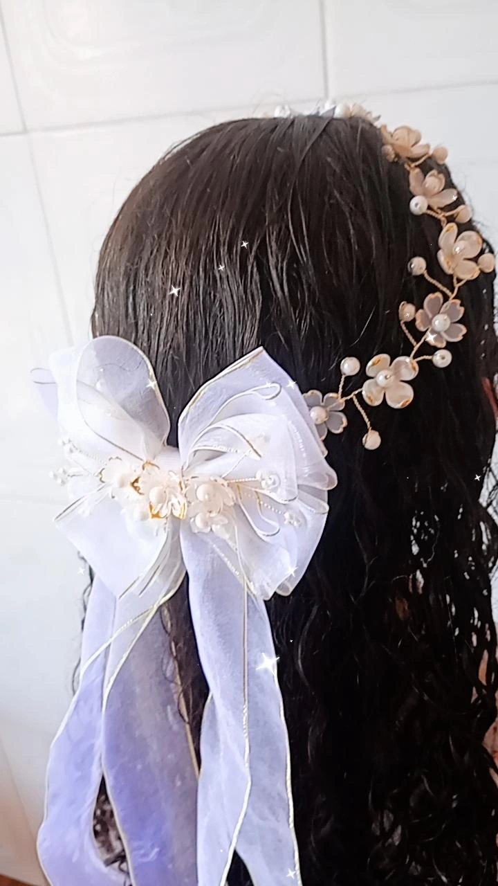 Tiara e Laço Encanto ( aramado)