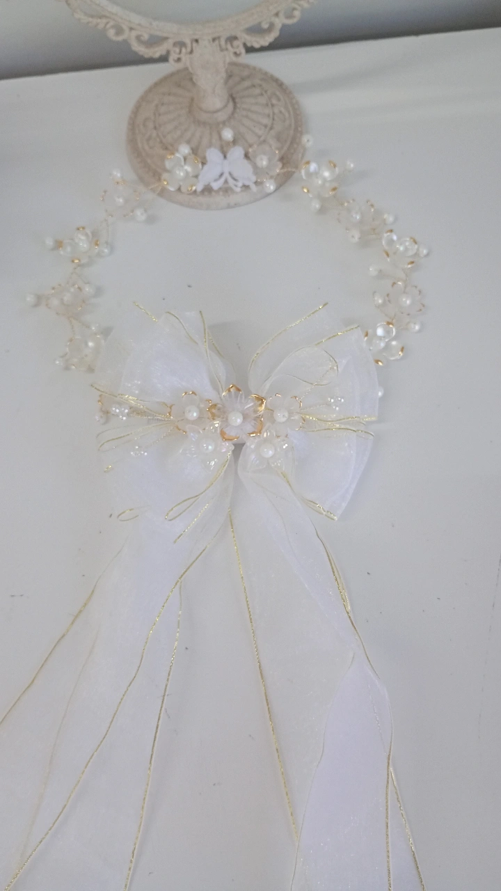 Tiara e Laço Encanto ( aramado)