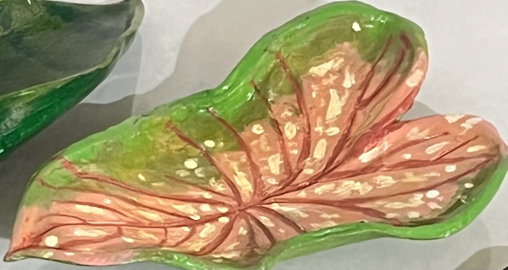 Pratinho de Caladium Rosa de Cerâmica fria 🌿