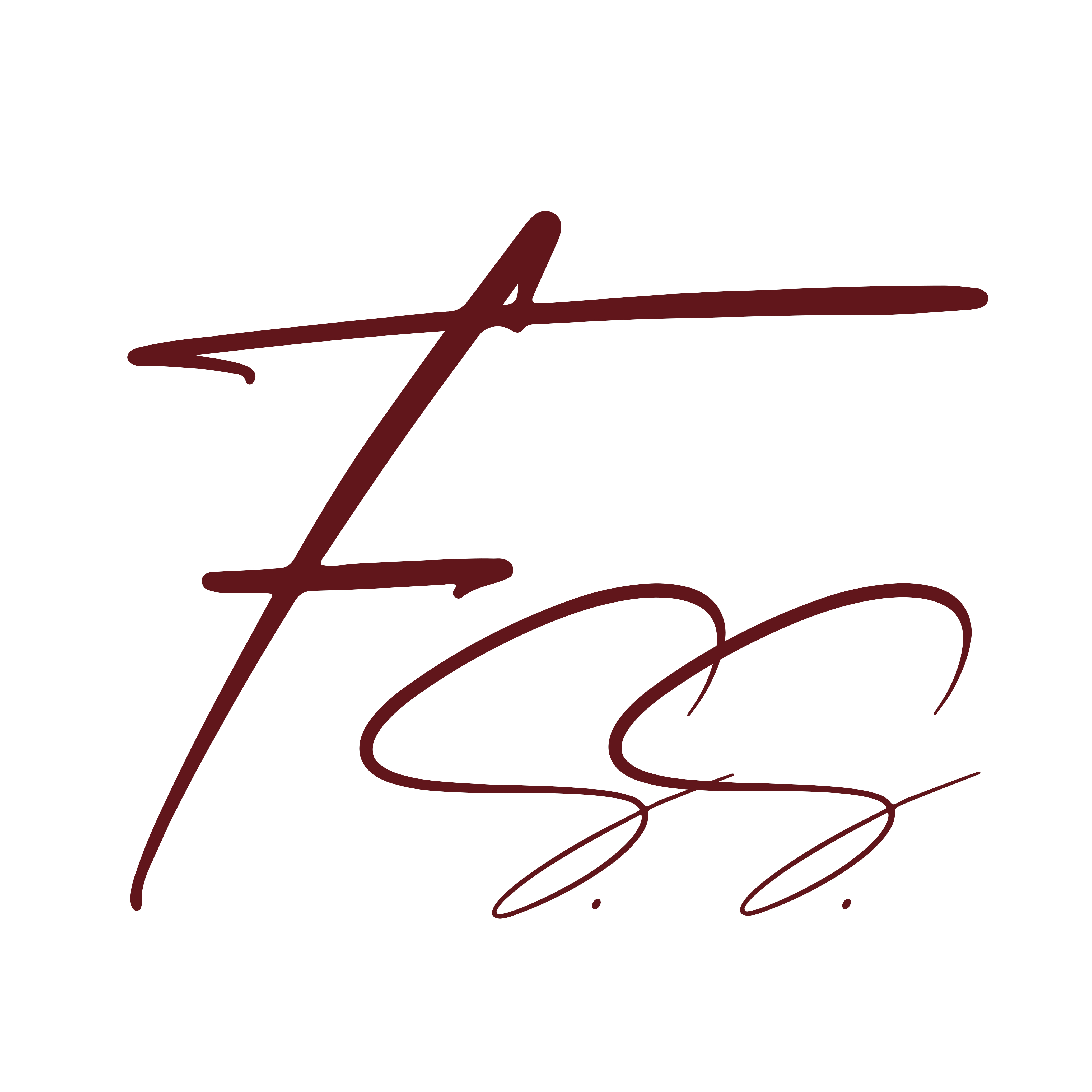 Fernanda. S.S.