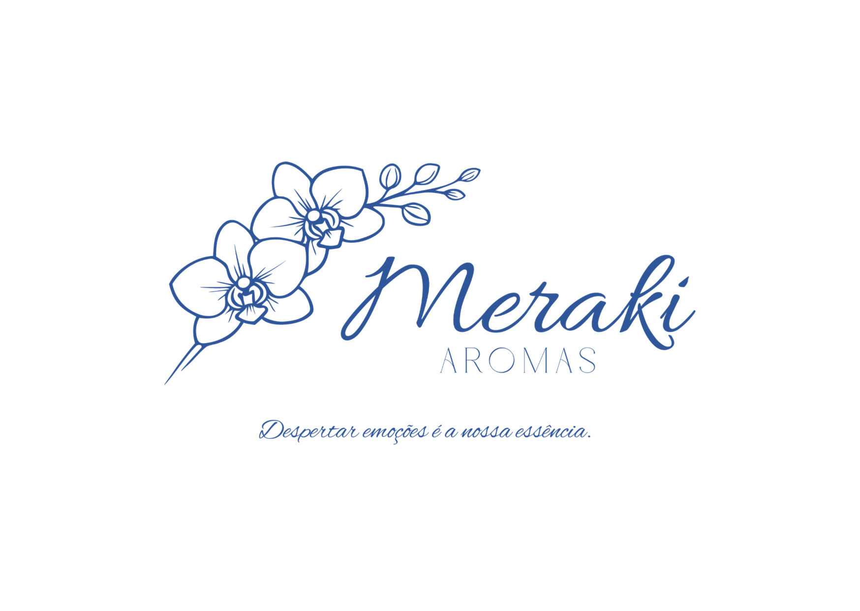 Meraki Aromas